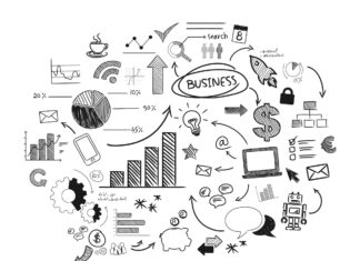 Exploring the Universe of Small Business Ownership